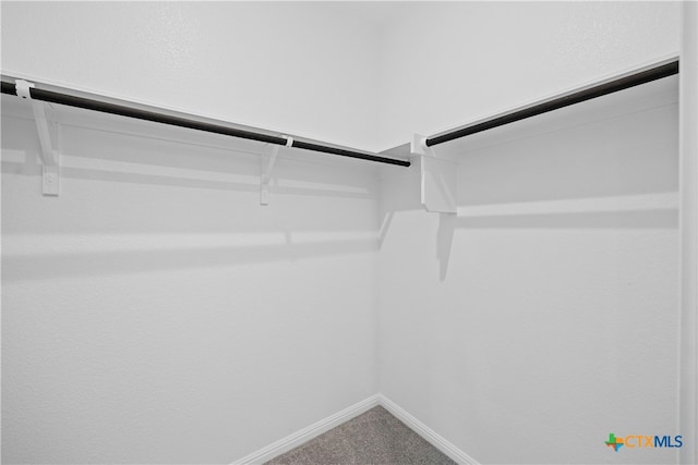 spacious closet featuring carpet flooring