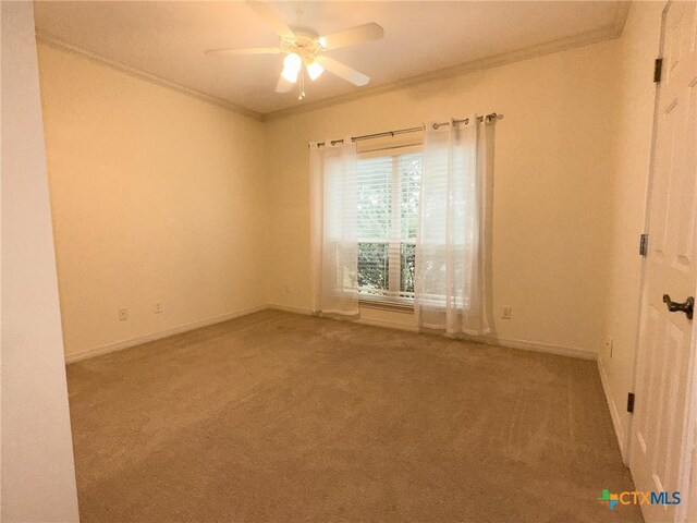 1448 Hidden Springs Dr, Salado, TX 76571 - photo 33