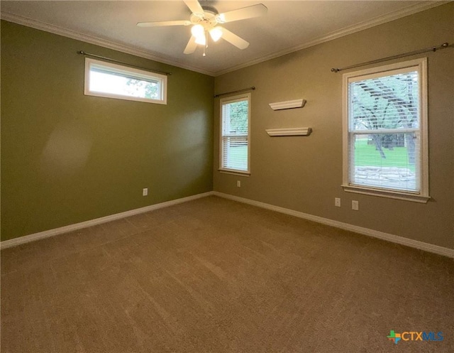 1448 Hidden Springs Dr, Salado, TX 76571 - photo 41