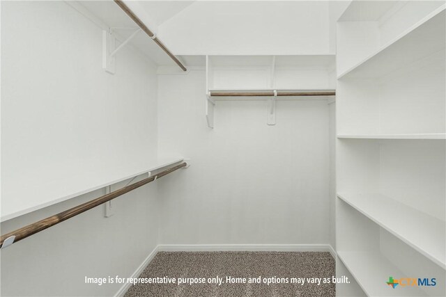 6208 Mcgregor Loop, Killeen, TX 76549 - walk in closet with carpet floors