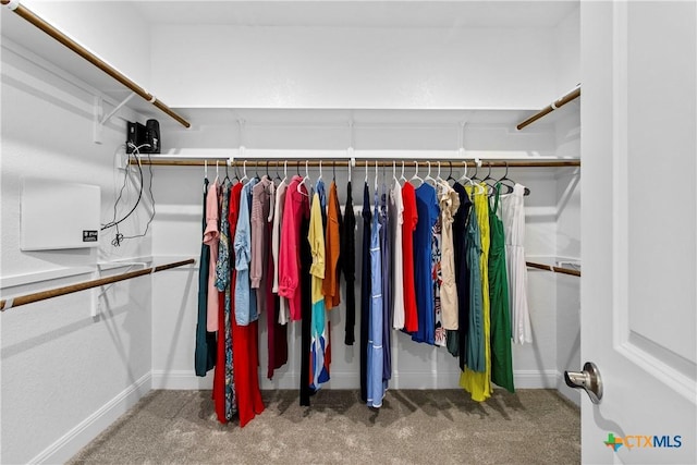 355 Victoria Peak Loop, Dripping Springs, TX 78620 - walk in closet featuring carpet floors