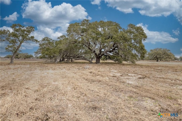 view of nature featuring a rural view