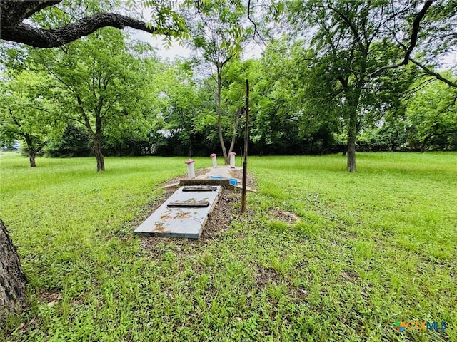 706 Golf Course Rd, Gatesville, TX 76528 - view of yard