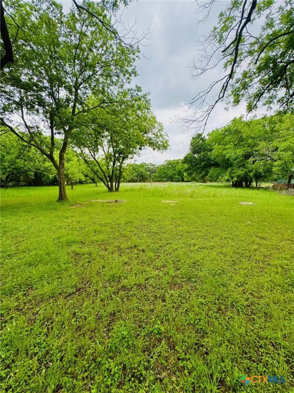 706 Golf Course Rd, Gatesville, TX 76528 - view of yard