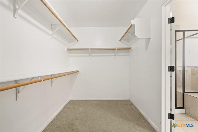 walk in closet featuring light carpet