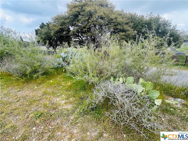 460 Peace Ave, New Braunfels TX, 78130 land for sale