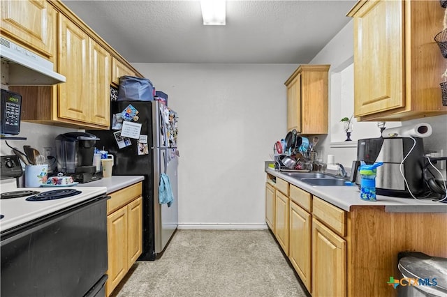 1104 S Terrace St, Temple, TX 76501 - kitchen with white electric range, under cabinet range hood, freestanding refrigerator, light colored carpet, and light countertops