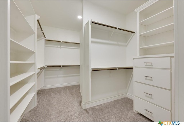 walk in closet with light colored carpet