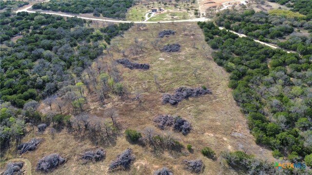 118 County Road 421, Evant, TX 76525