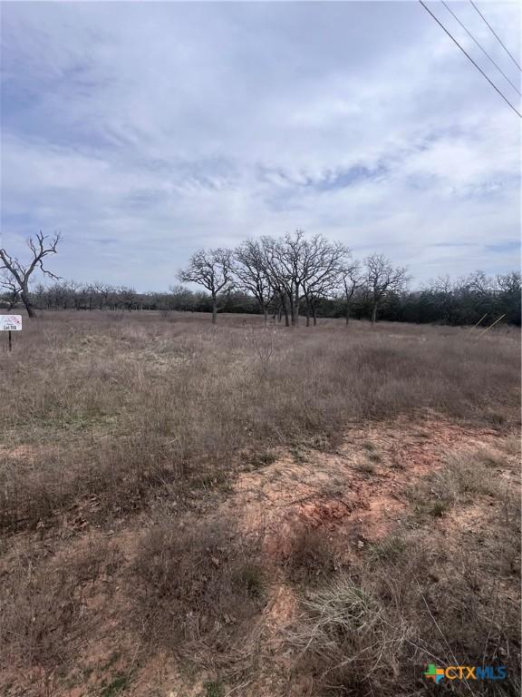118 County Road 421, Evant, TX 76525