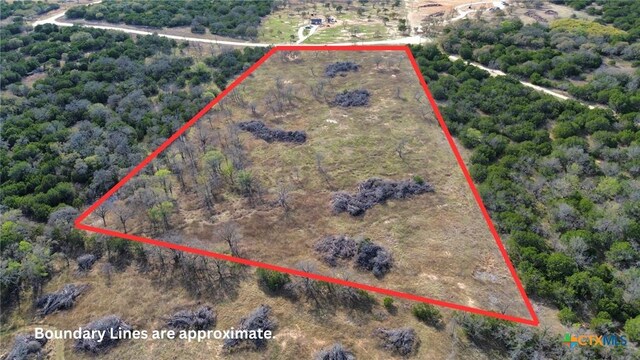 118 County Road 421, Evant, TX 76525