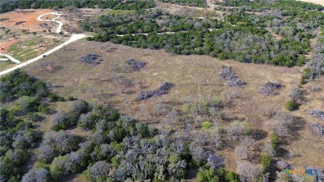 118 County Road 421, Evant, TX 76525