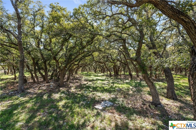 Listing photo 3 for LOT222 Blackbuck Ridge Dr, Lampasas TX 76550