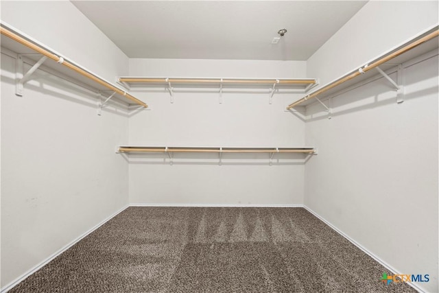 703 Curtis Dr, Killeen, TX 76542 - spacious closet with carpet floors