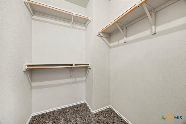 703 Curtis Dr, Killeen, TX 76542 - walk in closet featuring carpet flooring