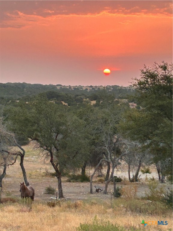 nature at dusk with a rural view