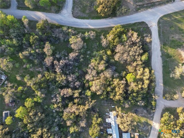 100 Oak Cv, San Marcos, TX 78666 - photo 6