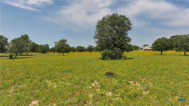 56 Powder Rdg, Luling, TX 78648