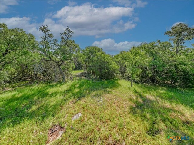 2002 Table Rock Rd, Copperas Cove, TX 76522 - photo 9