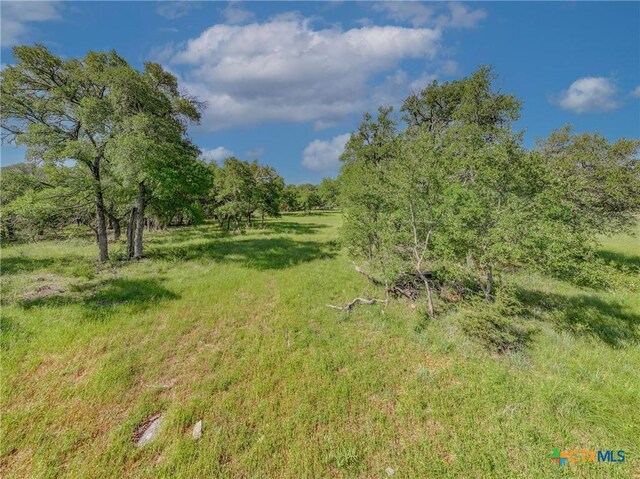 2002 Table Rock Rd, Copperas Cove, TX 76522 - photo 7