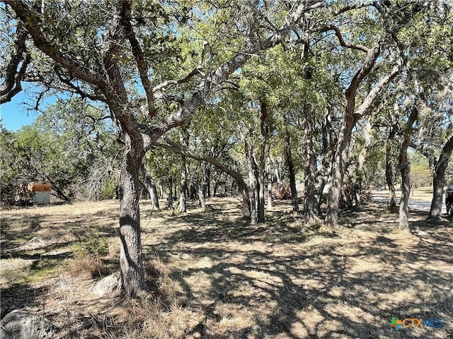 29061 Fm 306, Spring Branch, TX 78070 - photo 8