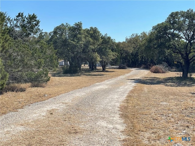 29061 Fm 306, Spring Branch, TX 78070 - photo 6