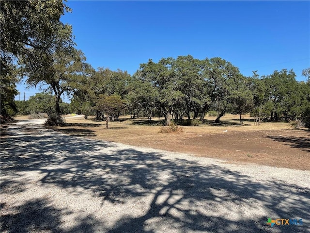 29061 Fm 306, Spring Branch, TX 78070 - photo 5