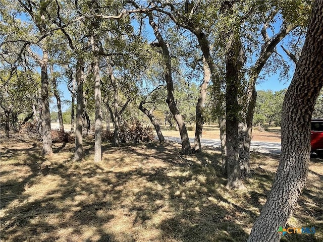 29061 Fm 306, Spring Branch, TX 78070 - photo 7
