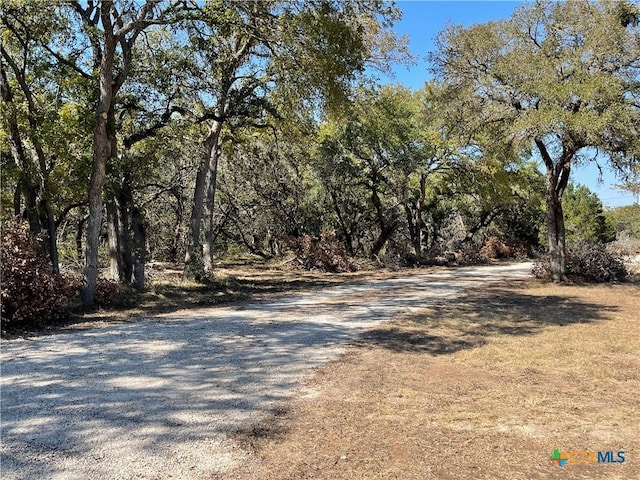29061 Fm 306, Spring Branch, TX 78070 - photo 2