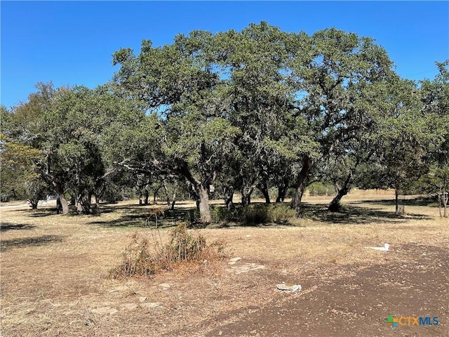 29061 Fm 306, Spring Branch, TX 78070 - photo 3