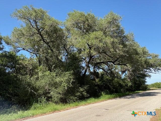 00 Spanish Grant Rd, Goliad, TX 77963