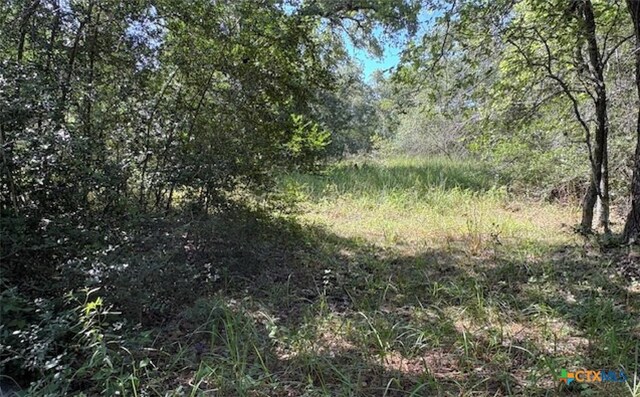 00 Spanish Grant Rd, Goliad, TX 77963