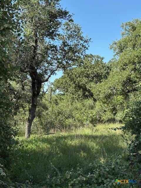 00 Spanish Grant Rd, Goliad, TX 77963