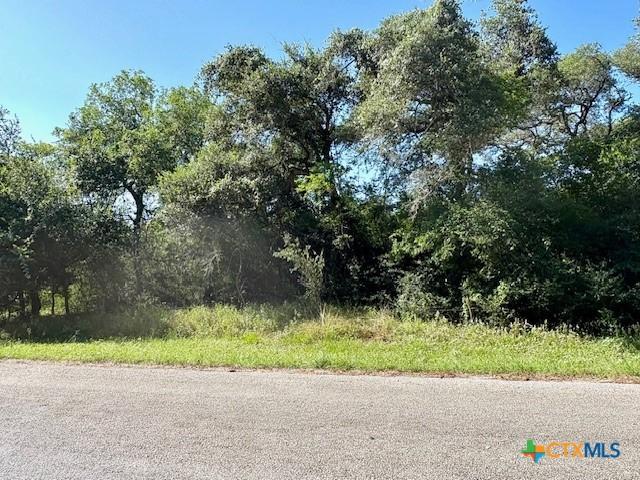 00 Spanish Grant Rd, Goliad, TX 77963