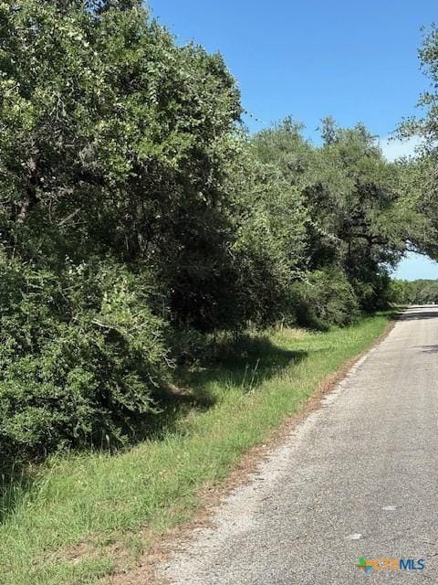 00 Spanish Grant Rd, Goliad, TX 77963