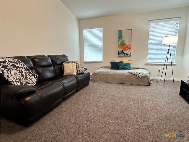 living room featuring vaulted ceiling and carpet floors