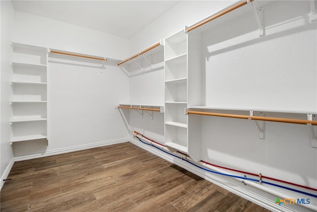 walk in closet with hardwood / wood-style floors