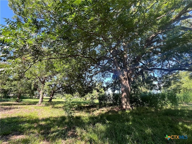 2774 N Park St, Brenham, TX 77833 - photo 9