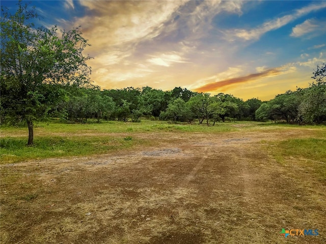 Listing photo 3 for LOT1C Spring Mtn, Canyon Lake TX 78133