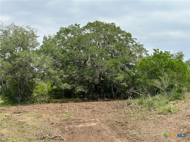 Listing photo 3 for 1776 Fm 1351, Goliad TX 77963