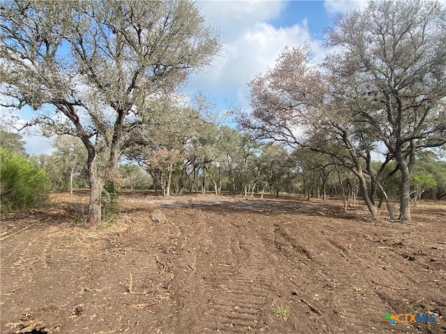 Listing photo 2 for 1776 Fm 1351, Goliad TX 77963