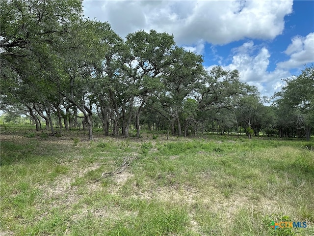 1776 Fm 1351, Goliad TX, 77963 land for sale