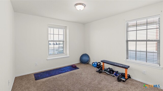 exercise room featuring carpet floors