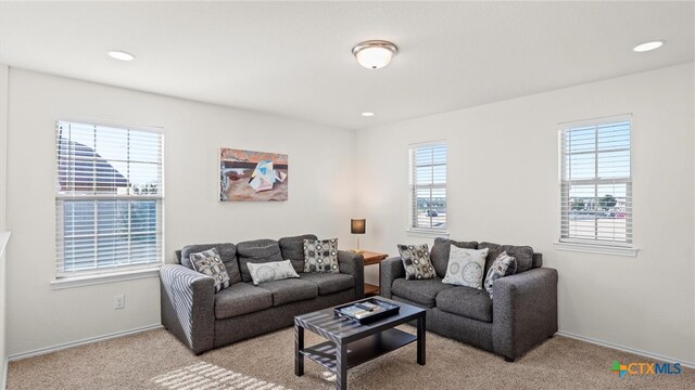 living room featuring light colored carpet and a healthy amount of sunlight