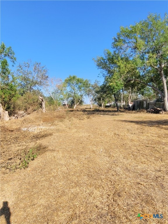 view of yard with a rural view