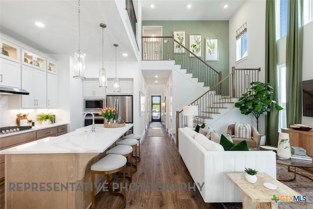225 Dycus Bnd, Liberty Hill, TX 78642 - kitchen featuring stainless steel appliances, dark wood finished floors, glass insert cabinets, light countertops, and a breakfast bar area