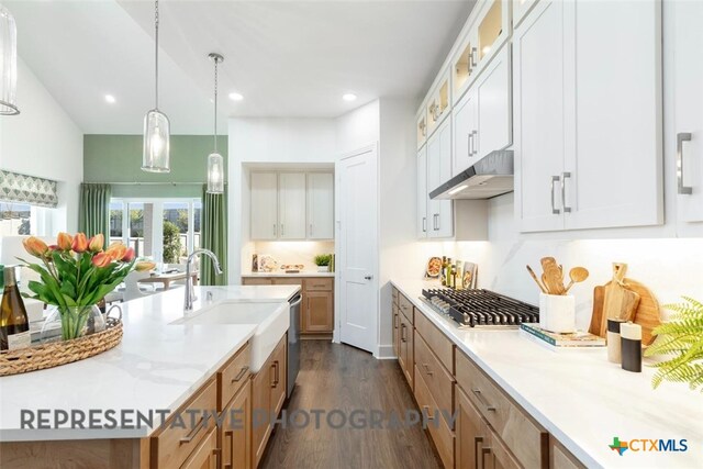 225 Dycus Bnd, Liberty Hill, TX 78642 - kitchen with a sink, under cabinet range hood, stainless steel appliances, dark wood-style flooring, and glass insert cabinets