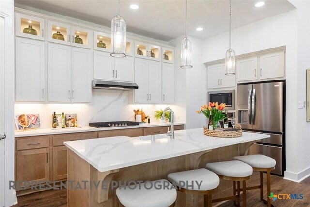 225 Dycus Bnd, Liberty Hill, TX 78642 - kitchen with stainless steel appliances, a sink, dark wood-style flooring, under cabinet range hood, and a kitchen breakfast bar