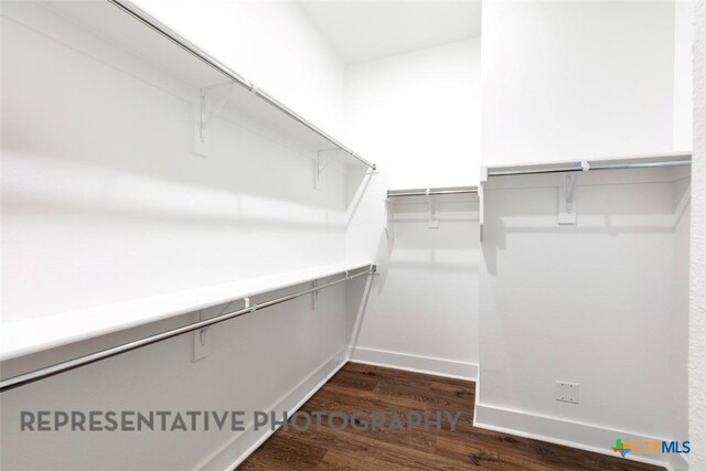 225 Dycus Bnd, Liberty Hill, TX 78642 - walk in closet with dark wood-style floors