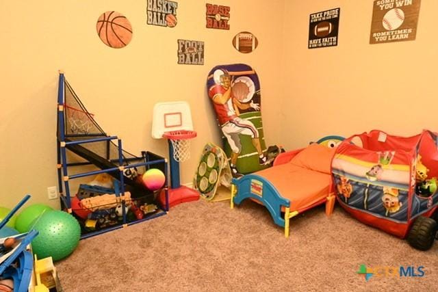bedroom with carpet flooring